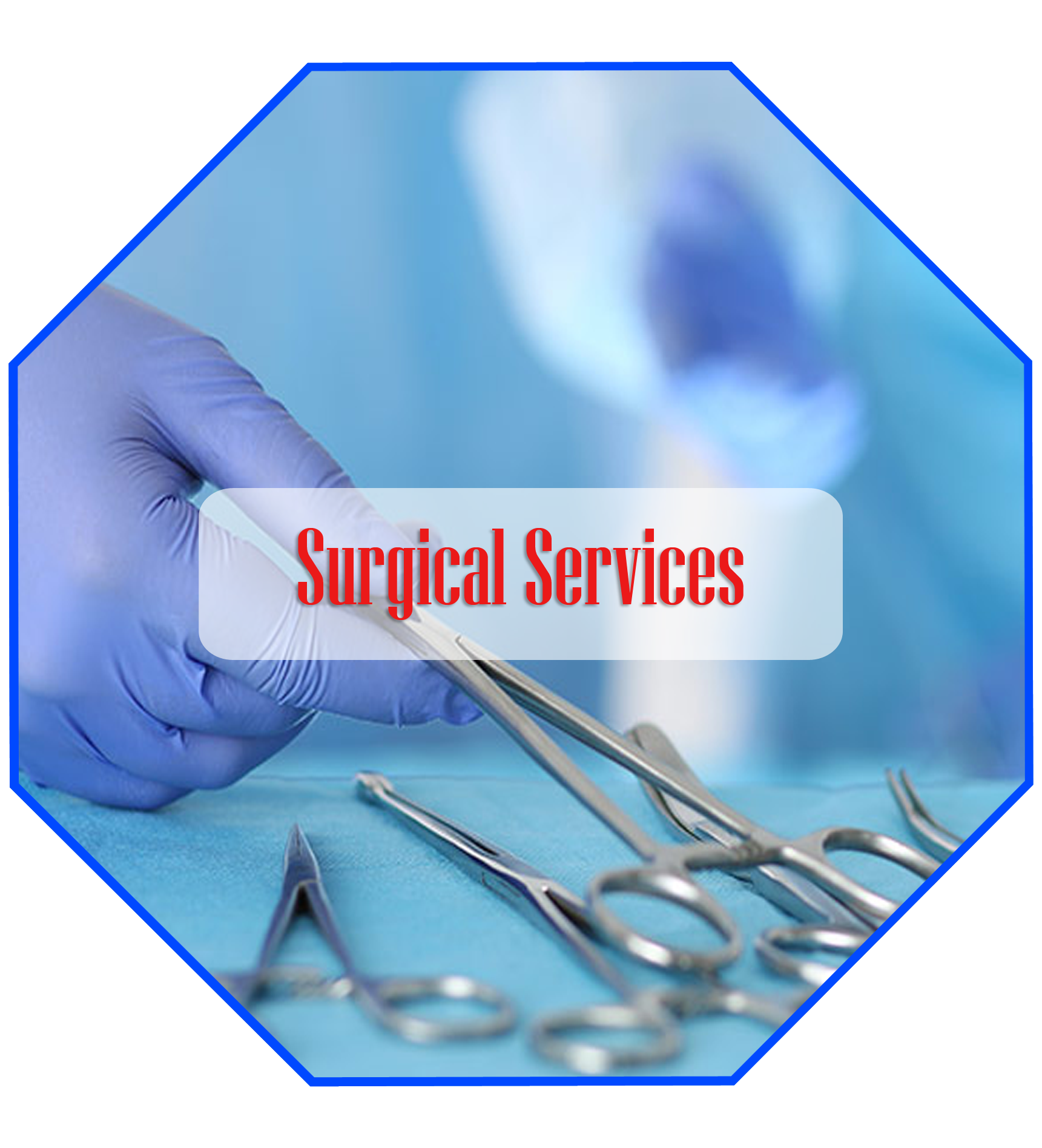 surgical services